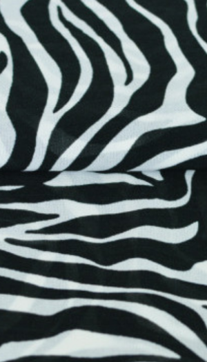 Zebra bílá