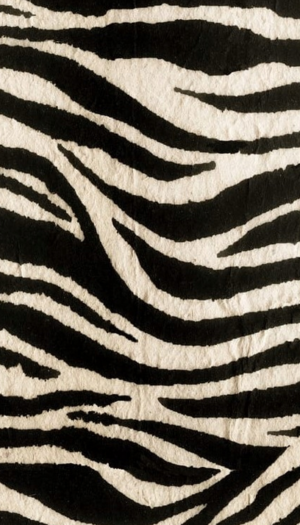 Zebra hnědá