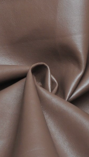 Koženka světle hnědá